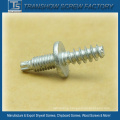 Double Threaded Torx Head Screw